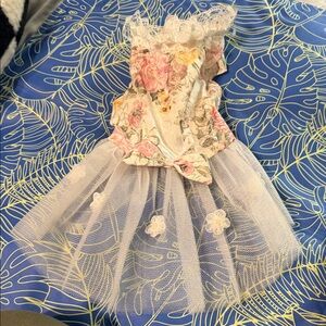 Floral Lace Dress with Tulle Skirt dog